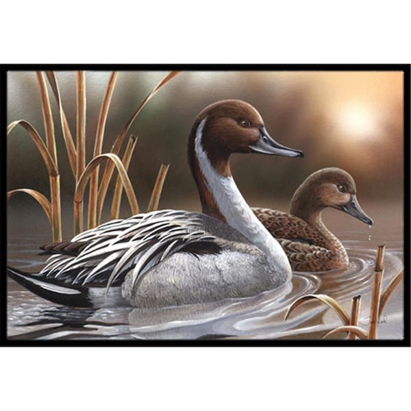 Carolines Treasures Pintails Indoor and Outdoor Mat- 24 x 36 in. PTW2060JMAT - main